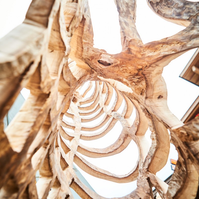 6. Wood Symposium
