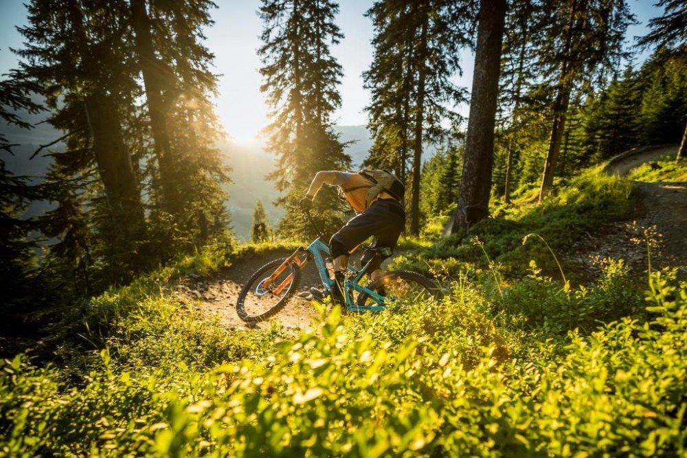Bike Trails in Saalbach