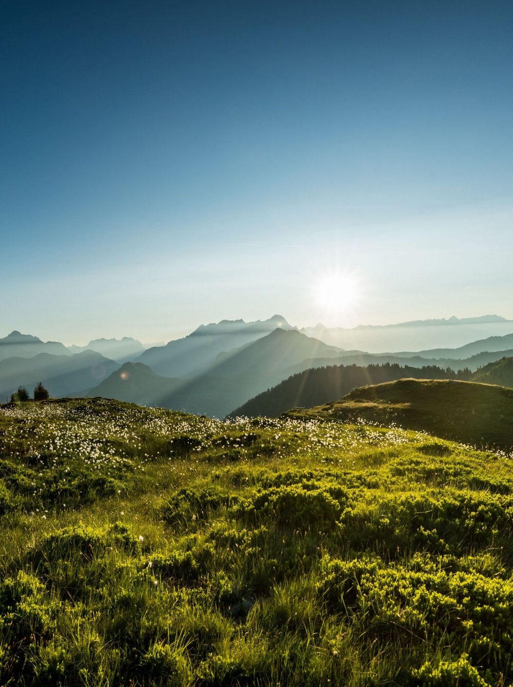 Hiking in Saalbach in the Salzburger Land, Austria  width=