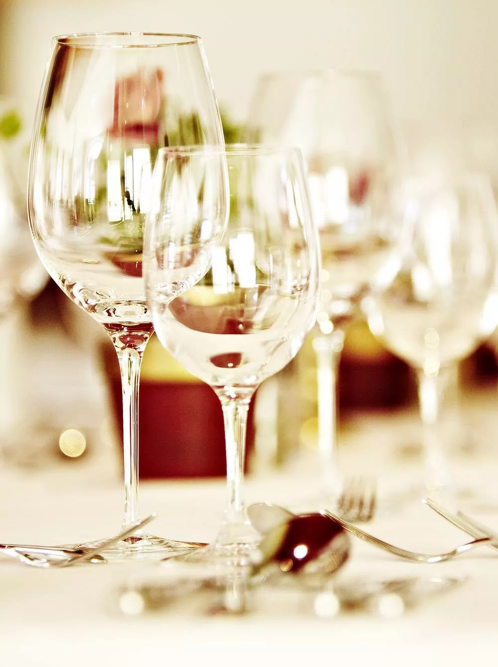 Five-Elements Restaurant at the Hotel Saalbacher Hof  width=