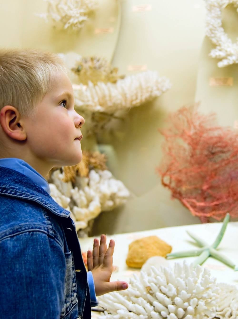 Visit at Haus der Natur Nature Museum  width=