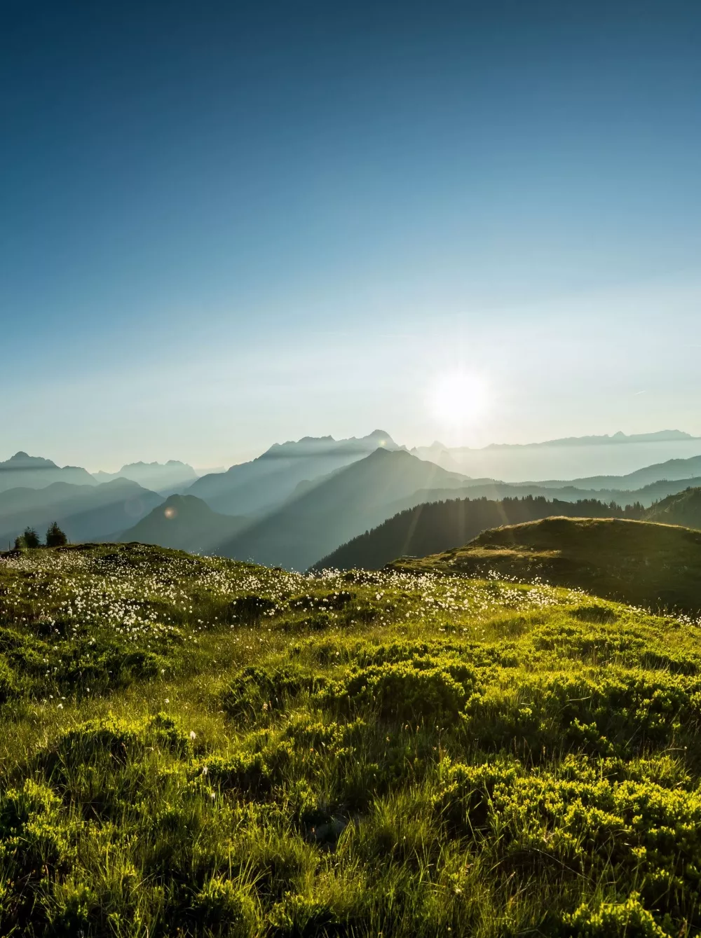 Blick in die Berge rund um Saalbach width=