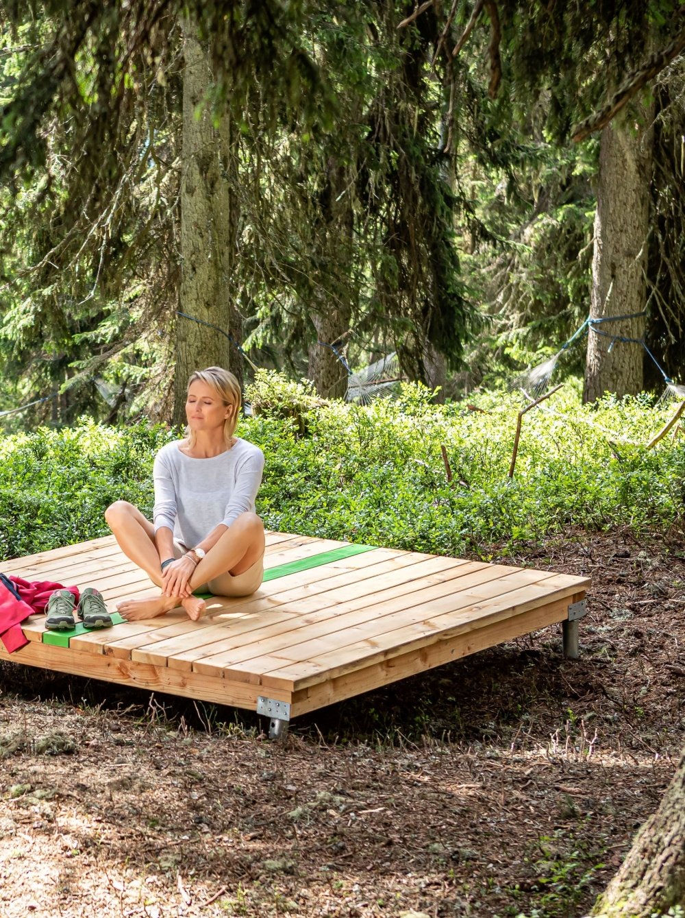 Forest Wellness width=