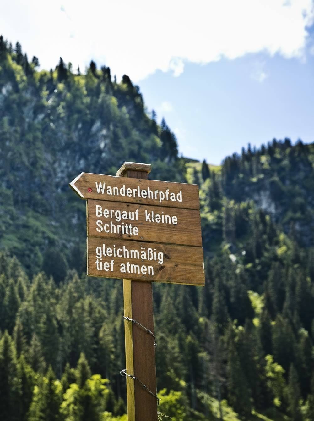 Educational Hiking Trail in the mountains of Saalbach width=