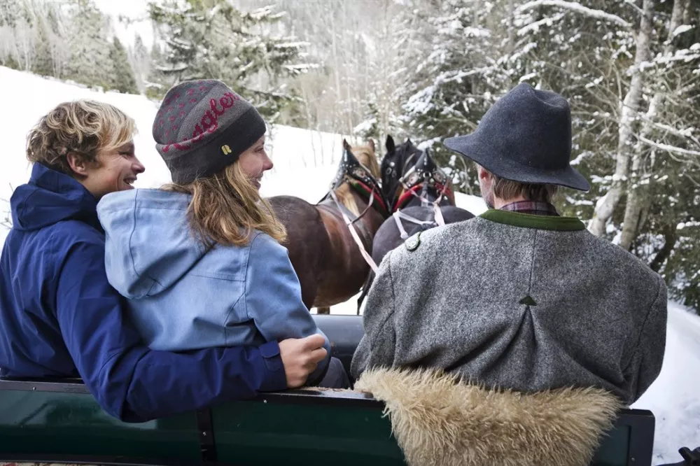 The horse-drawn sleigh ride