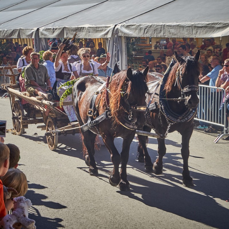 Hinterglemmer Bauernmarkt