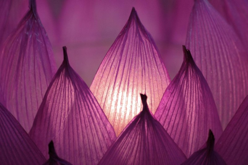 Mindfullness