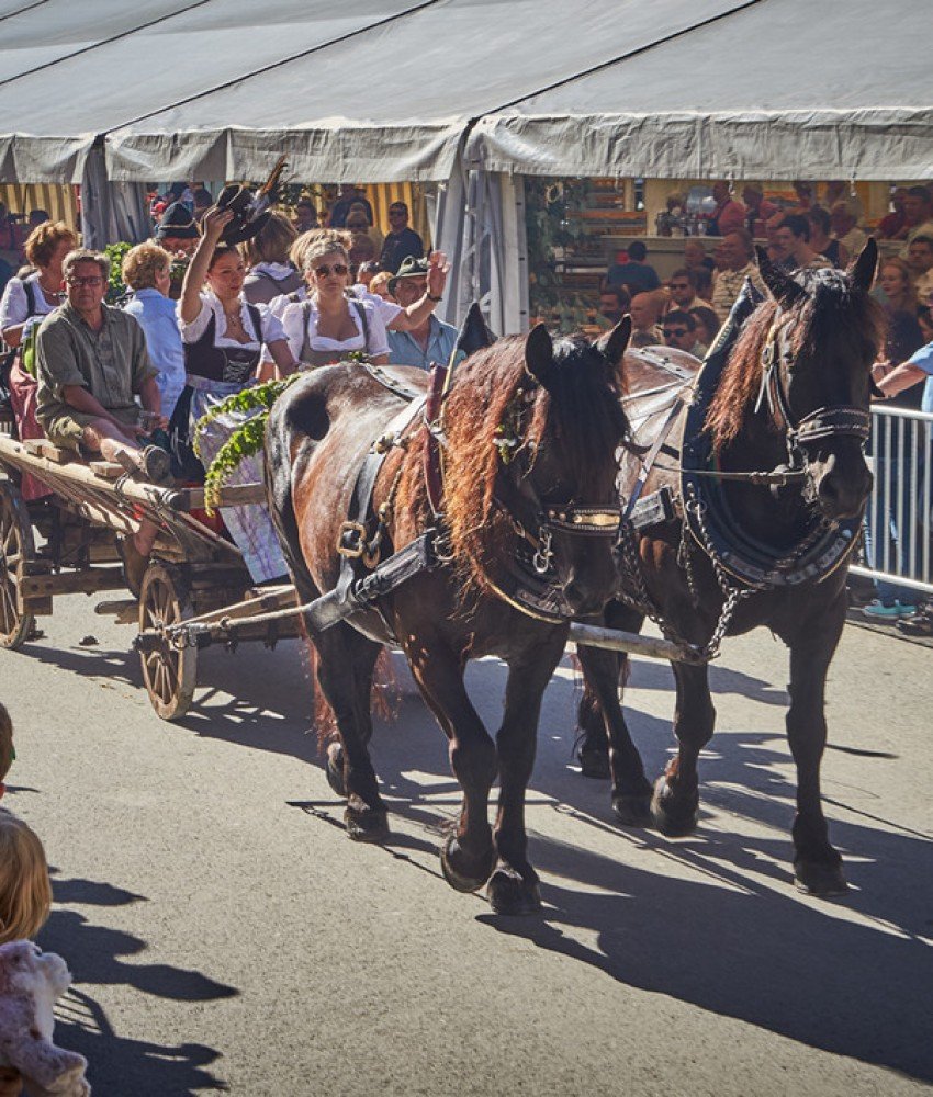 bauernmarkt width=