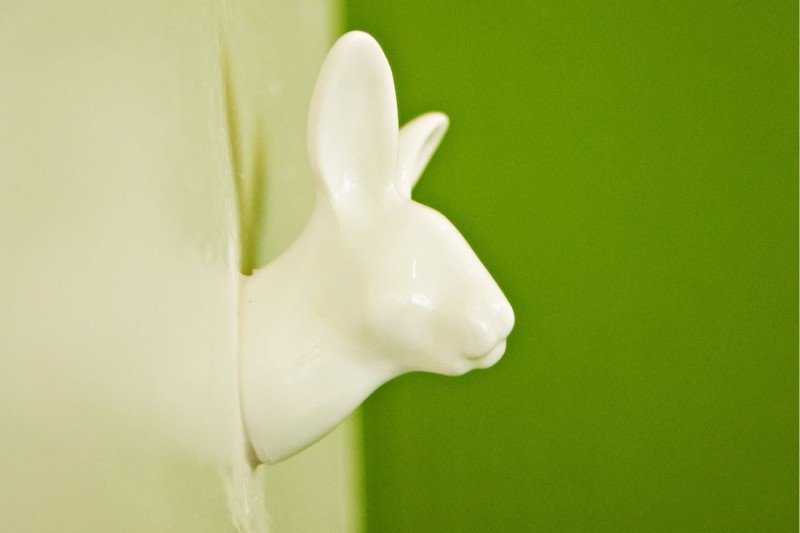 Hase